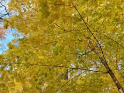 57252441912940161591929965921653445692125736n